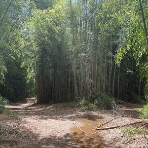 Meet your Posher, Zoe